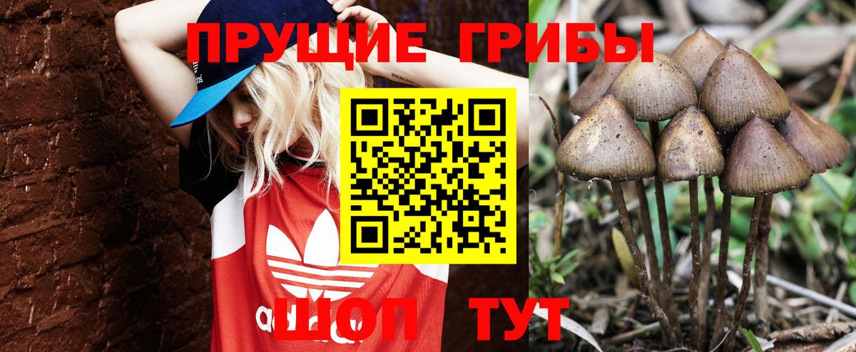 Псилоцибиновые грибы ЛСД  Вход с VPN  Котельники  Псилоцибиновые грибы MAGIC MUSHROOMS 